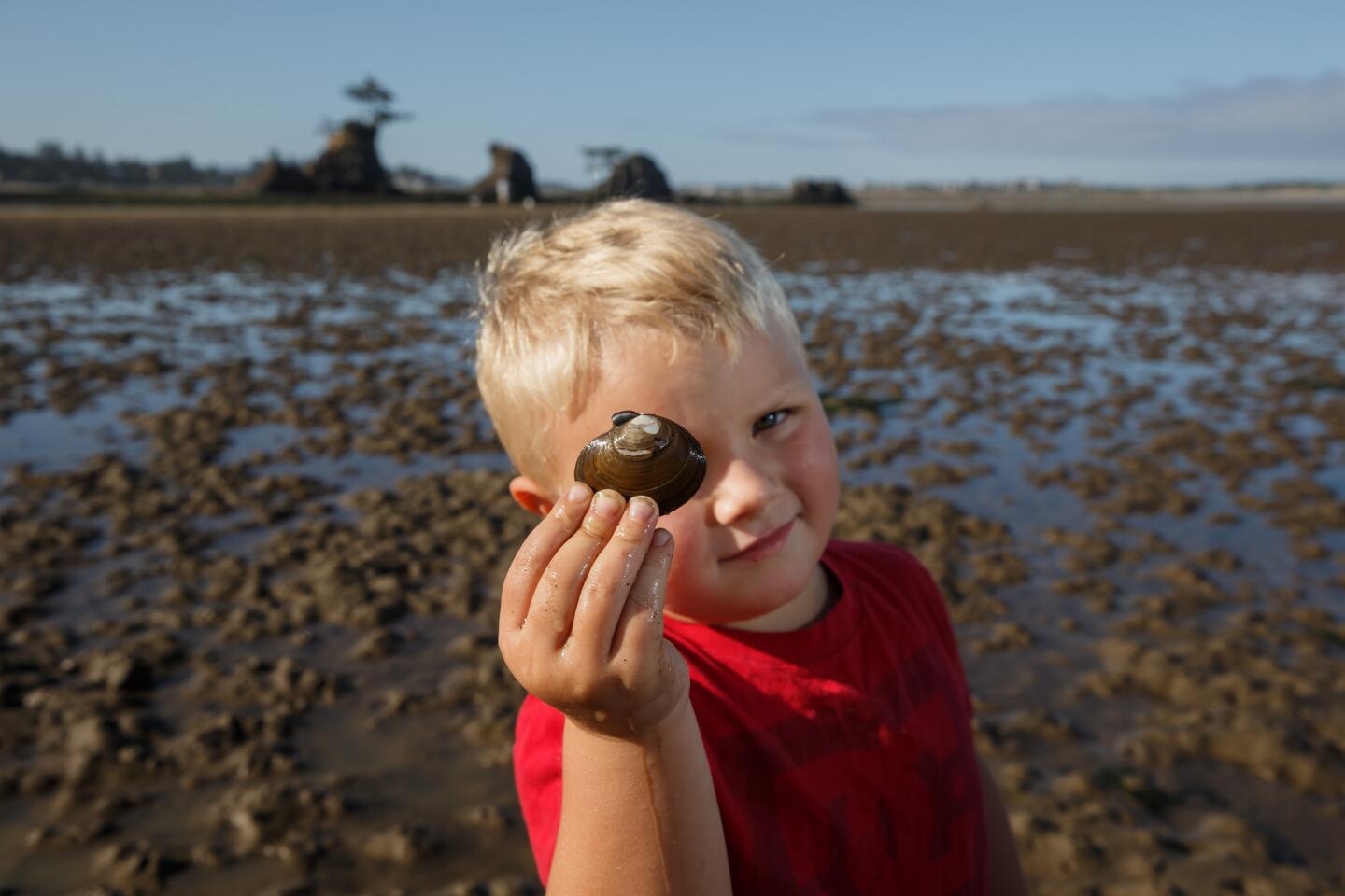 Winslow Ellis, 4, holds a clam he dug up on an adventure with his father at Siletz Bay in Lincoln City, Ore.