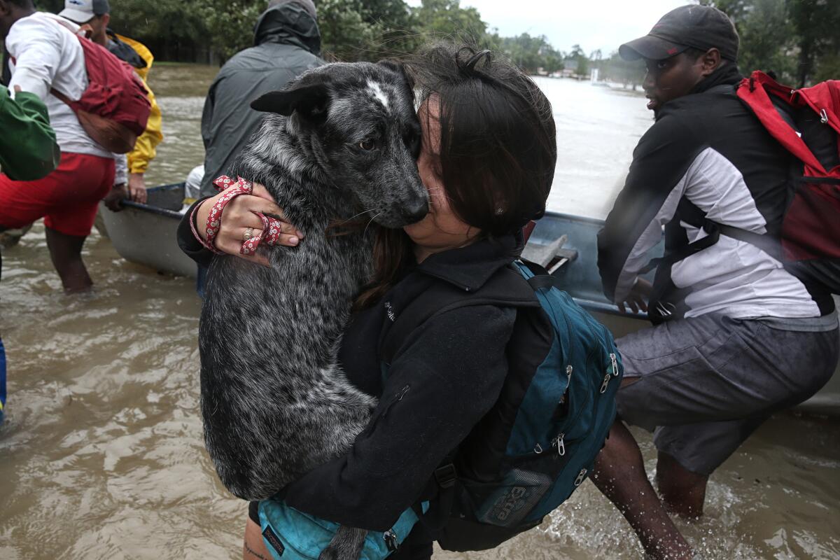 A woman carries a dog above the rising floodwaters near Addicks Reservoir. (Robert Gauthier / Los Angeles Times)