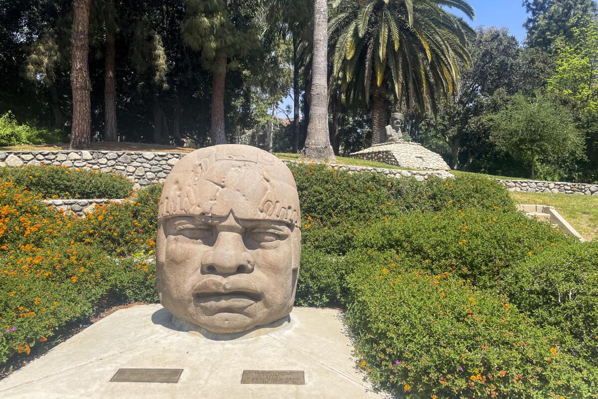 A Olmec head sculpture sits in front of shrubs at Jalapa Park.