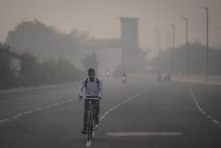 A cyclist rides amid smog in New Delhi, India, Tuesday, Nov. 7, 2023. Masks are back on the streets as residents of the capital city grapple with the annual surge in air pollution that has engulfed the region. (AP Photo/Altaf Qadri)