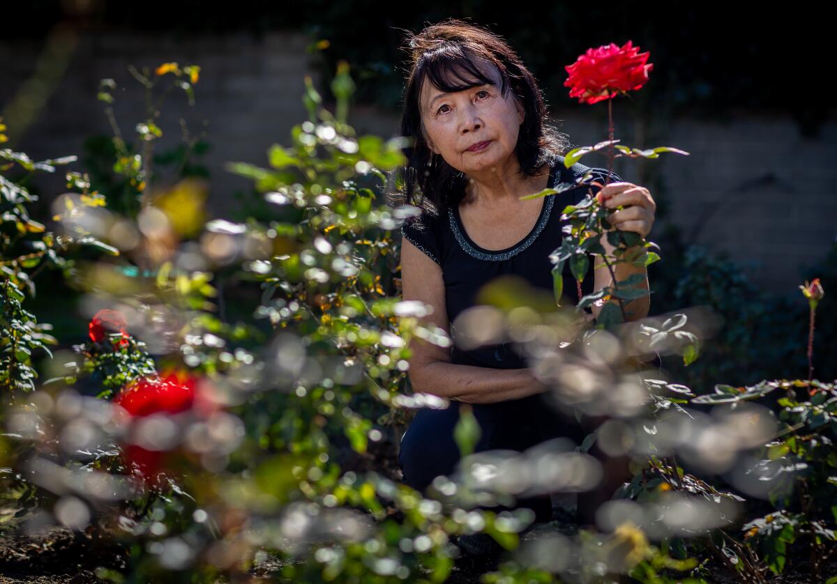 Alice Lin with one of the roses she planted to cope with her depression after she was scammed out of her nest egg. 