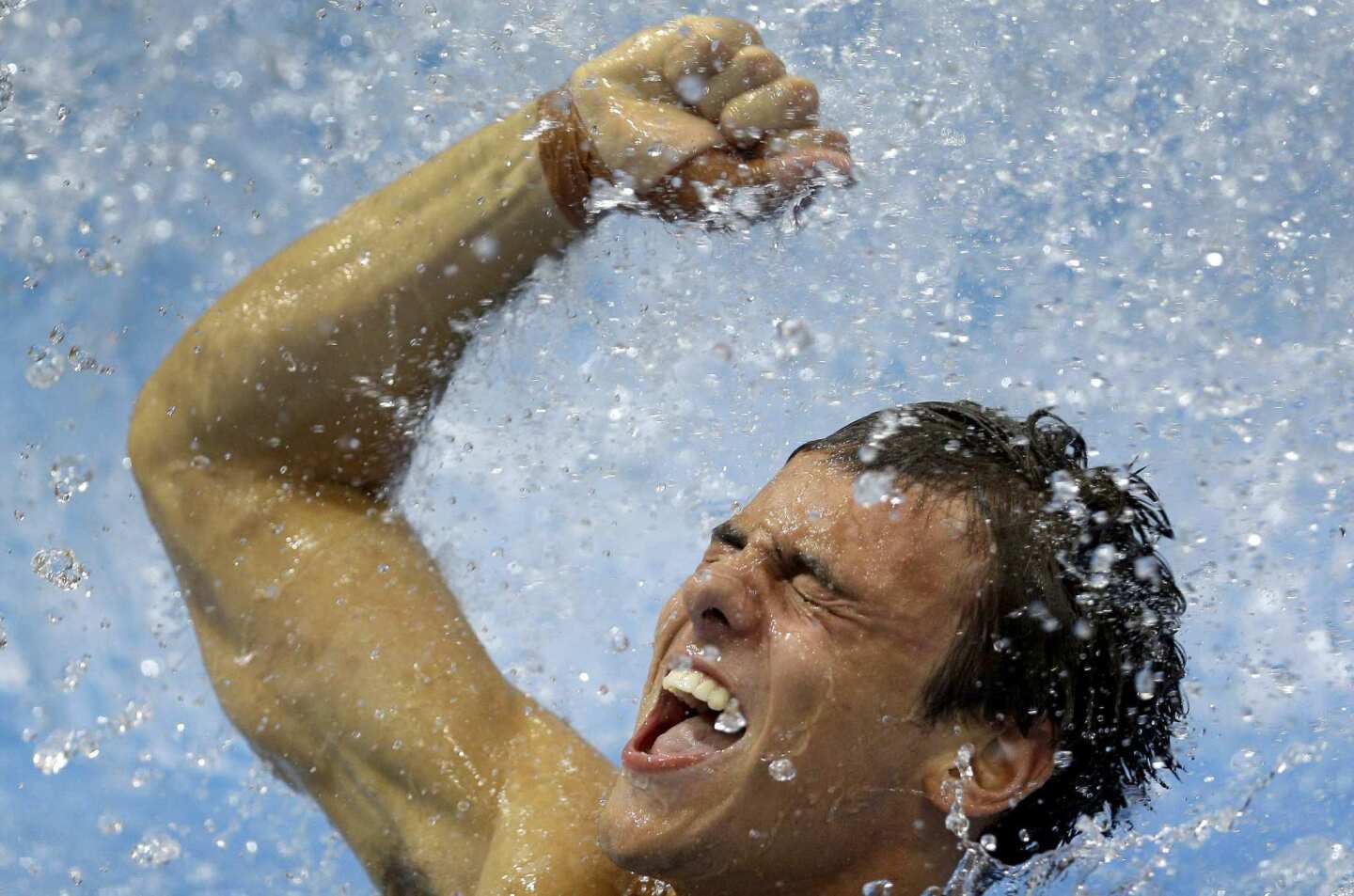 Tom Daley