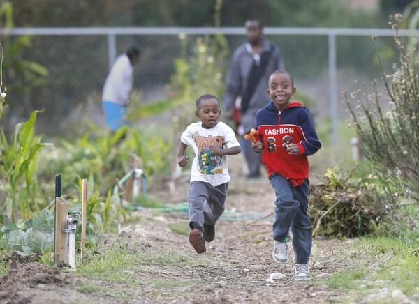 Abdikadir Ali, 8, the son of refugee Abdalla Ali, and a friend race along a path after helping at a community garden in San Diego.