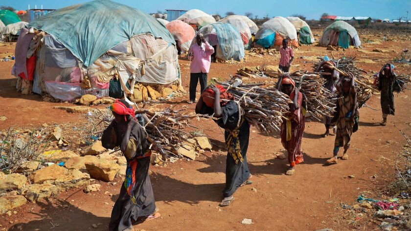 Women carry firewood as they walk back to a makeshift camp on the outskirts of Baidoa, in the southwestern Bay region of Somalia, where thousands of displaced people arrive daily after fleeing the parched countryside. (Tony Karumba / AFP/Getty Images)