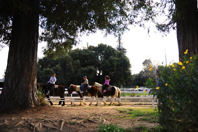 10. Griffith Park: By hoof and rail