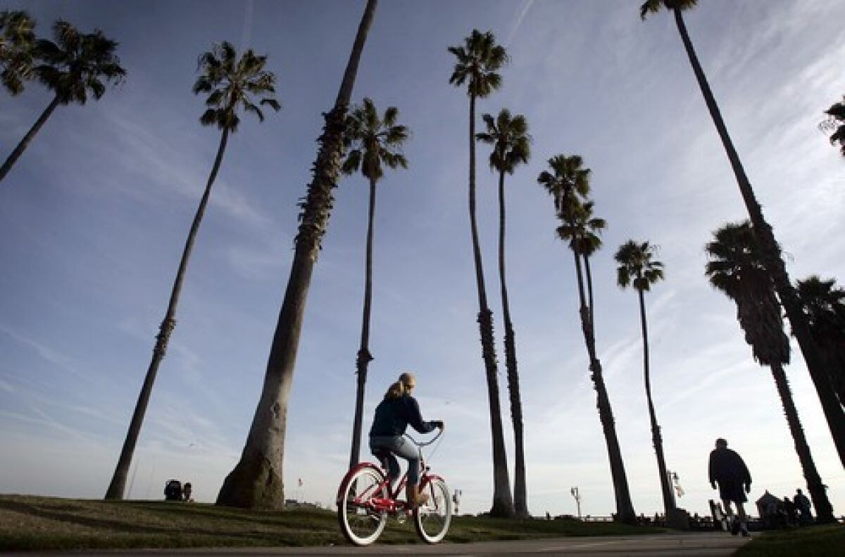 Palm trees line the bike path along the beach in Santa Barbara. The county announced its first coronavirus-related death this week, and its number of confirmed infections increased to 111.