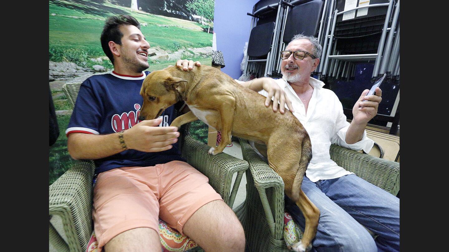 Photo Gallery: Burbank Animal Shelter participates in August 19 lower cost pet adoption fees