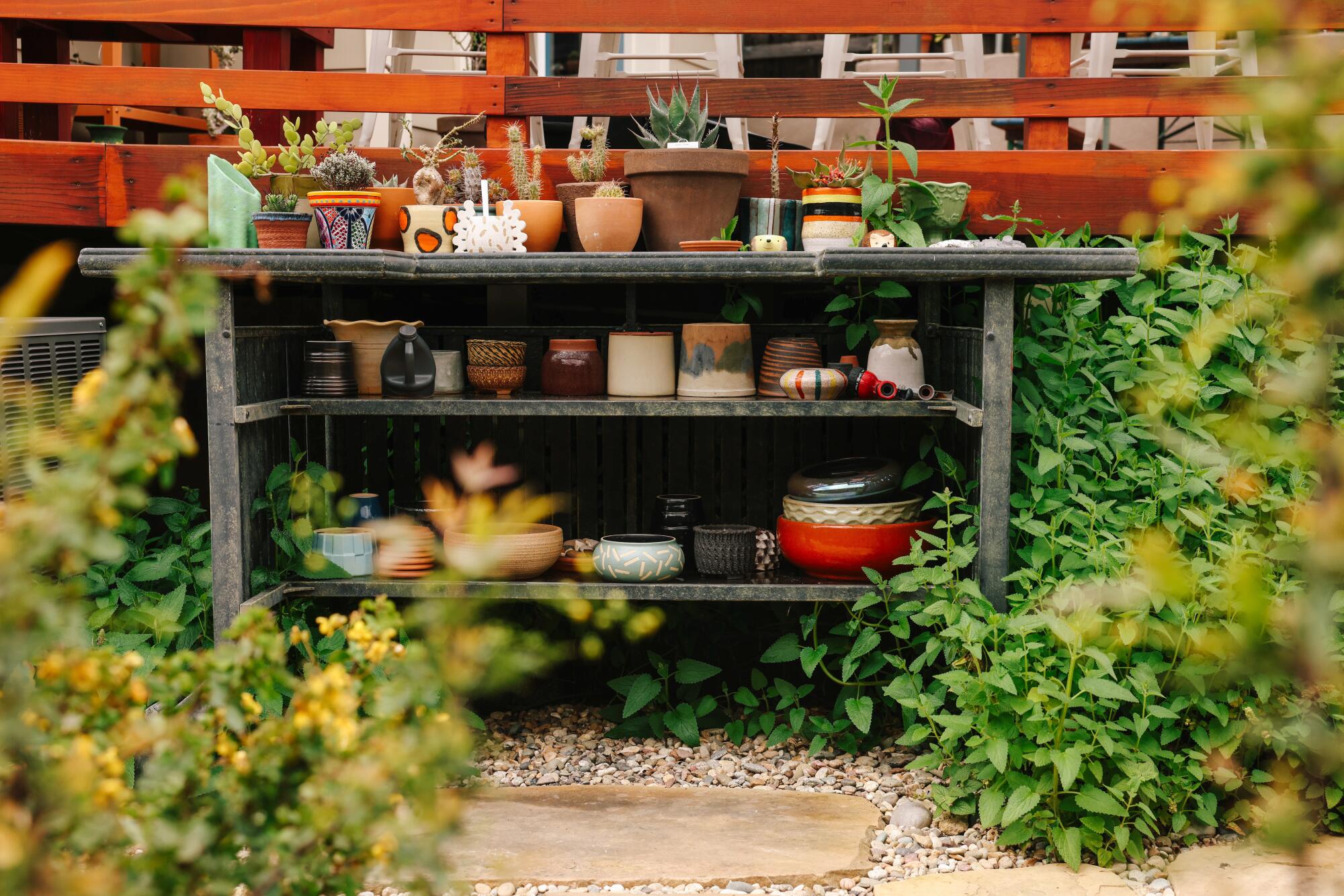A potting bench filled with pots and surrounded by plants growing at its base
