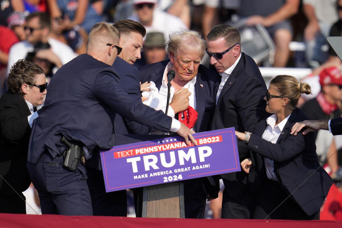 Donald Trump is helped off the stage following an assassination attempt in Butler, Pa.