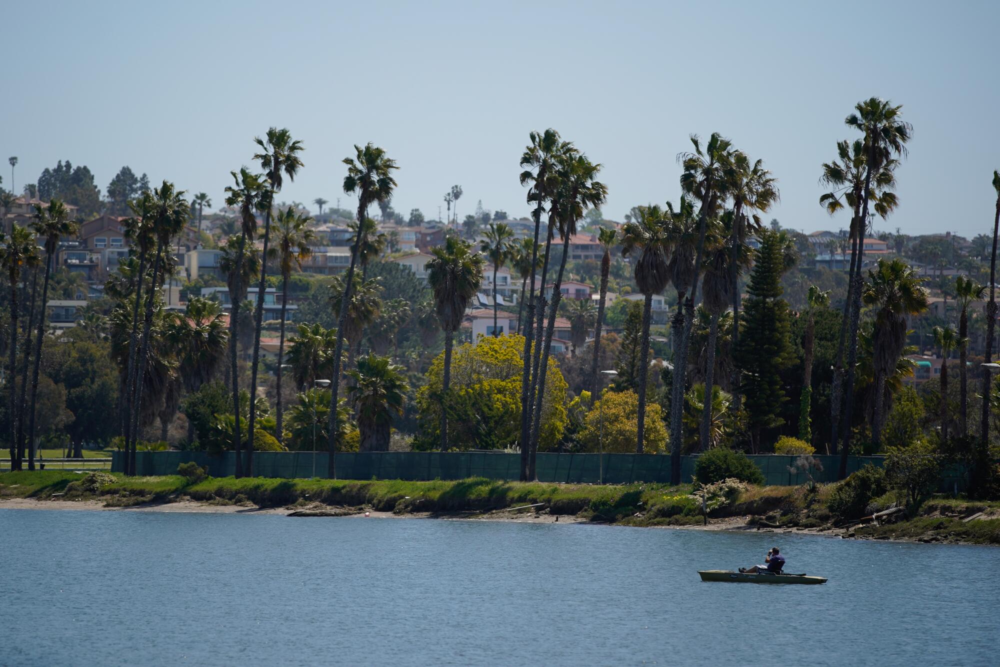 A person kayaks on a sunny bay alongside a palm-lined shore.