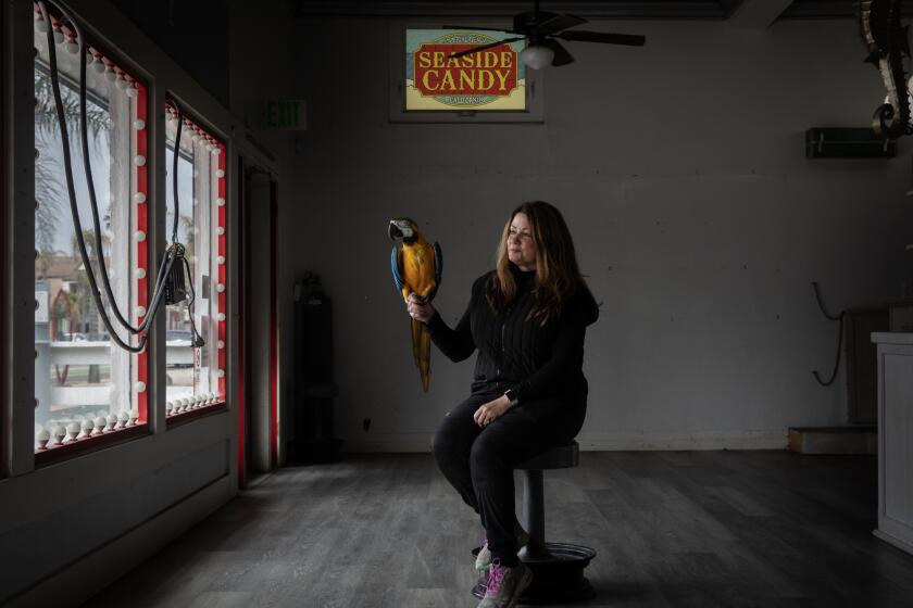 Imperial Beach , California - May 30: Angela Frank holds Coby in a now empty room at Seaside Candy and Ice Cream after recently closing the store due to a decline in revenue on Thursday, May 30, 2024 in Imperial Beach , California. Frank said she feels like the loss of revenue is due to the city's sewage crisis. The parrot is a local favorite and will remain at the location with the new business owners when they take over the space. (Ana Ramirez / The San Diego Union-Tribune)