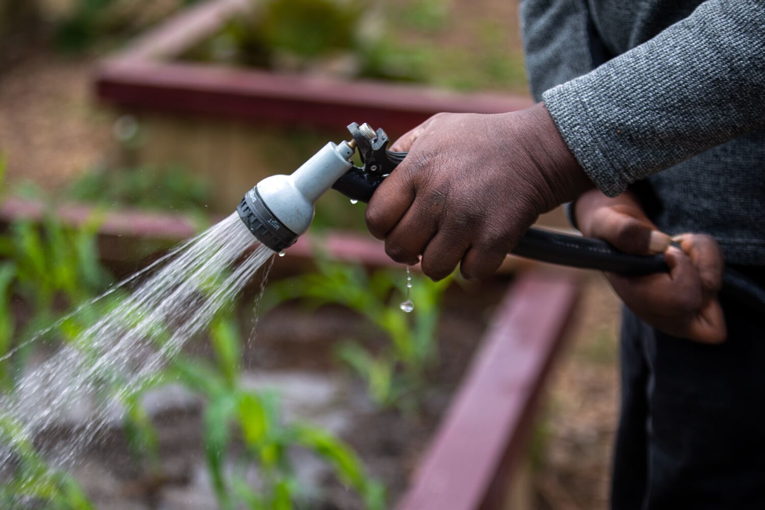 Californians were asked to cut water use 15% during the drought. How close did they get?