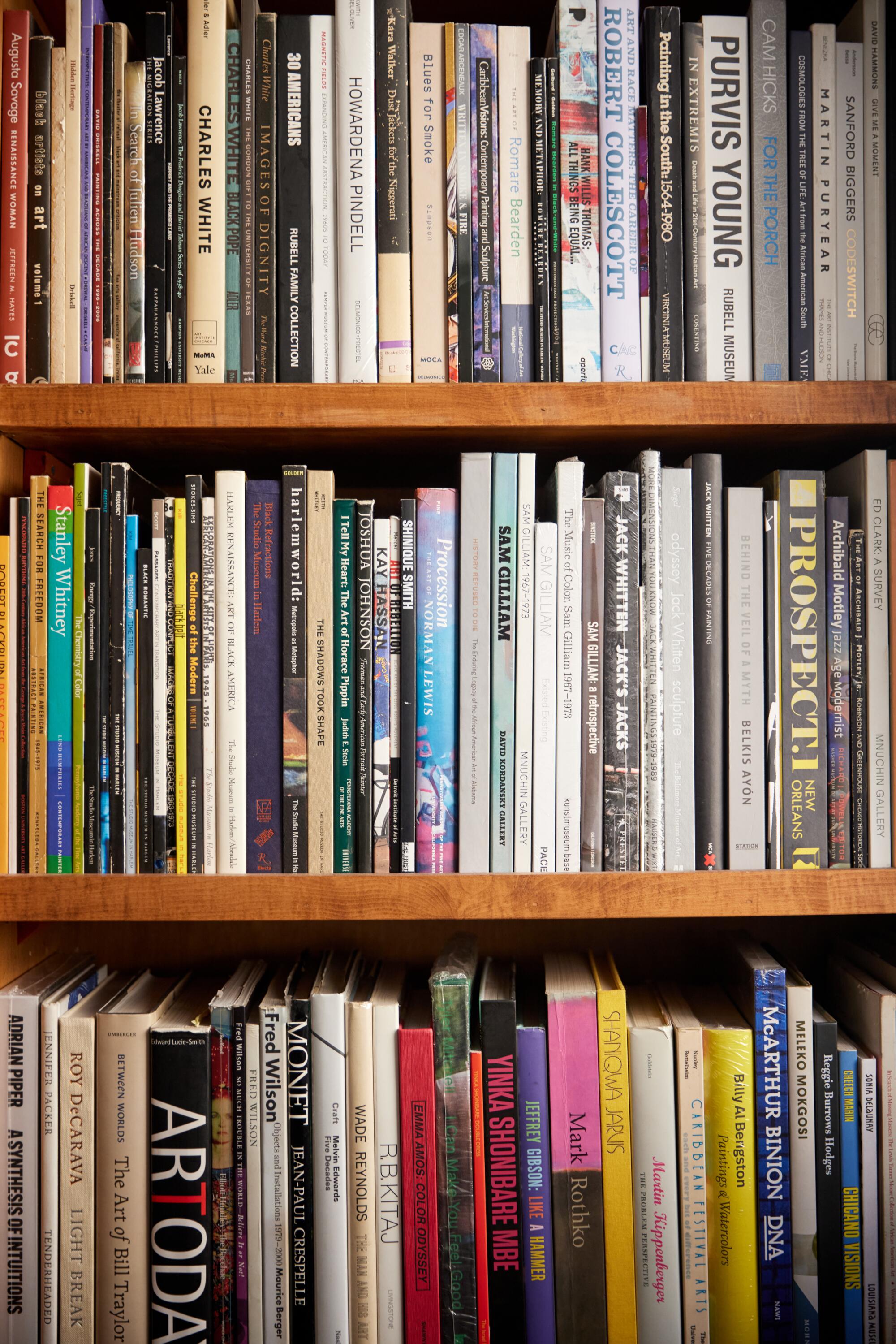 Details of books on a shelf, including several art book on artists like Robert Colescott.