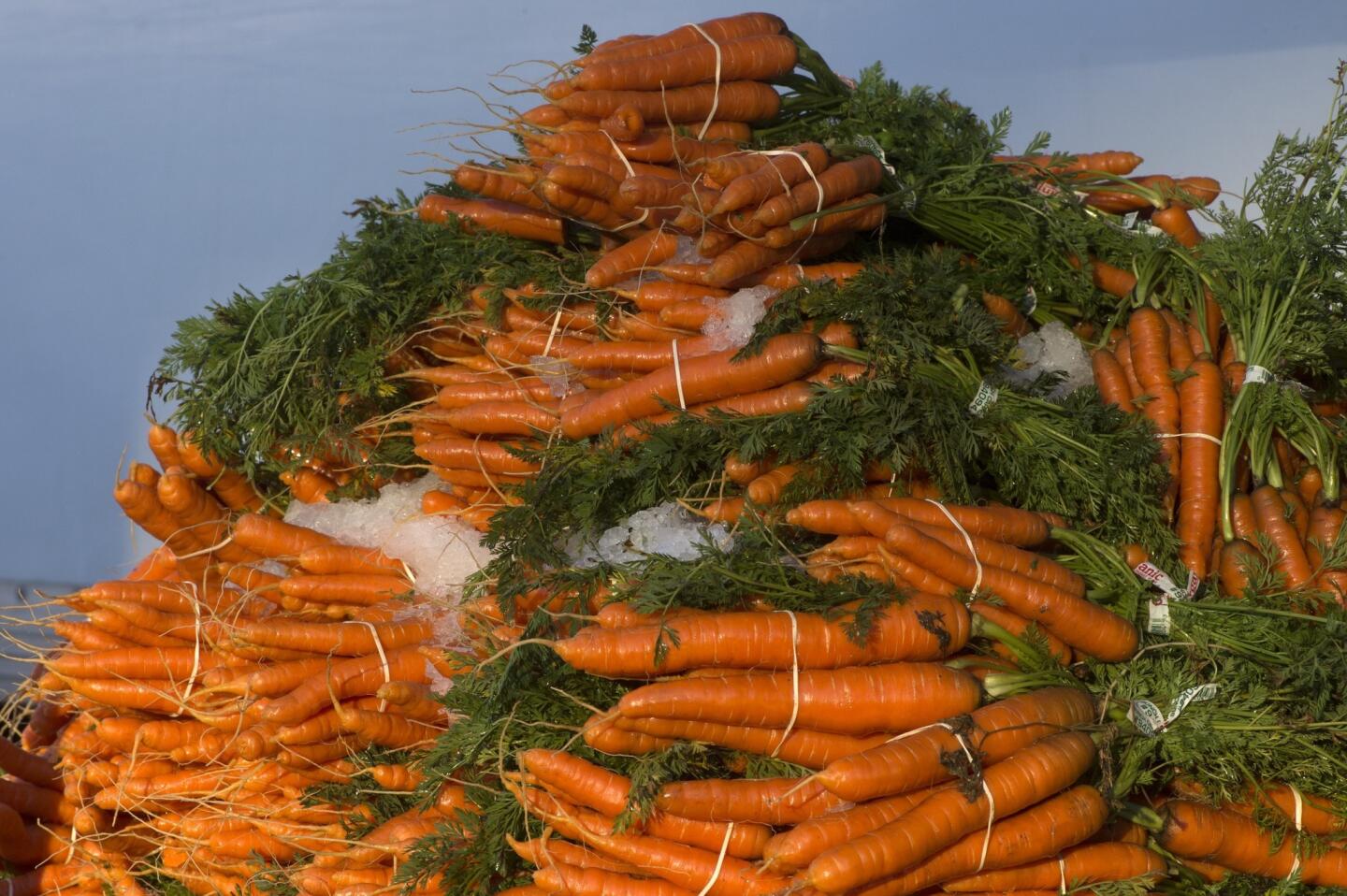 Carrots may improve sperm performance by as much as 8%.