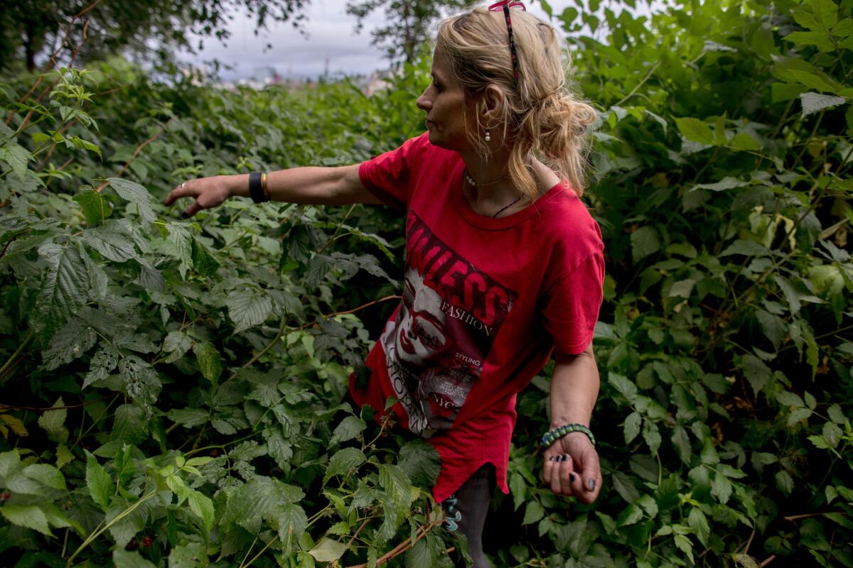 Christiann Perry picks wild raspberries near the camp she calls home in Anchorage.