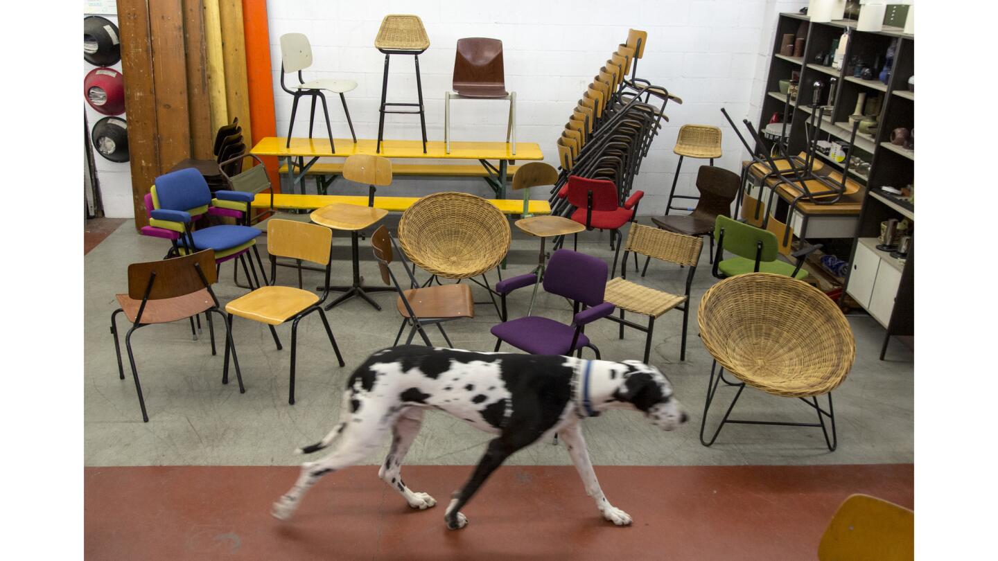 Amsterdam Modern sells chairs and other furnishings at its warehouse just west of downtown Los Angeles. As the name implies, the business' aesthetic is driven by midcentury Dutch design. Sorry, the Great Dane is not for sale.