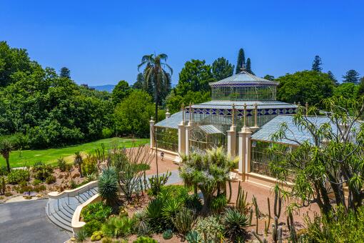 A photo of palm house at botanic garden in Adelaide, Australia.