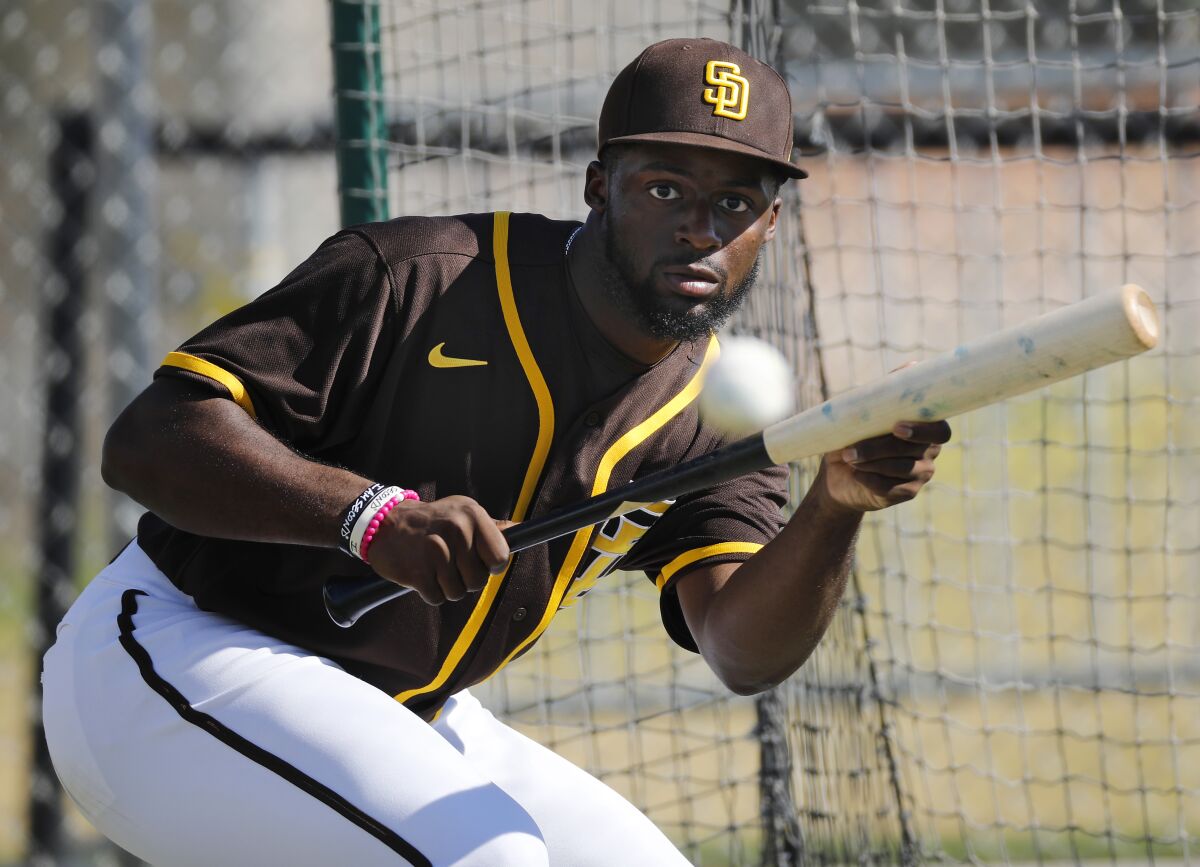 Padres outfield prospect Taylor Trammell bunts during a spring training practice on Feb. 20, 2020.