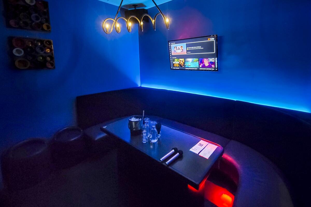 tokyo-karaoke-room-1