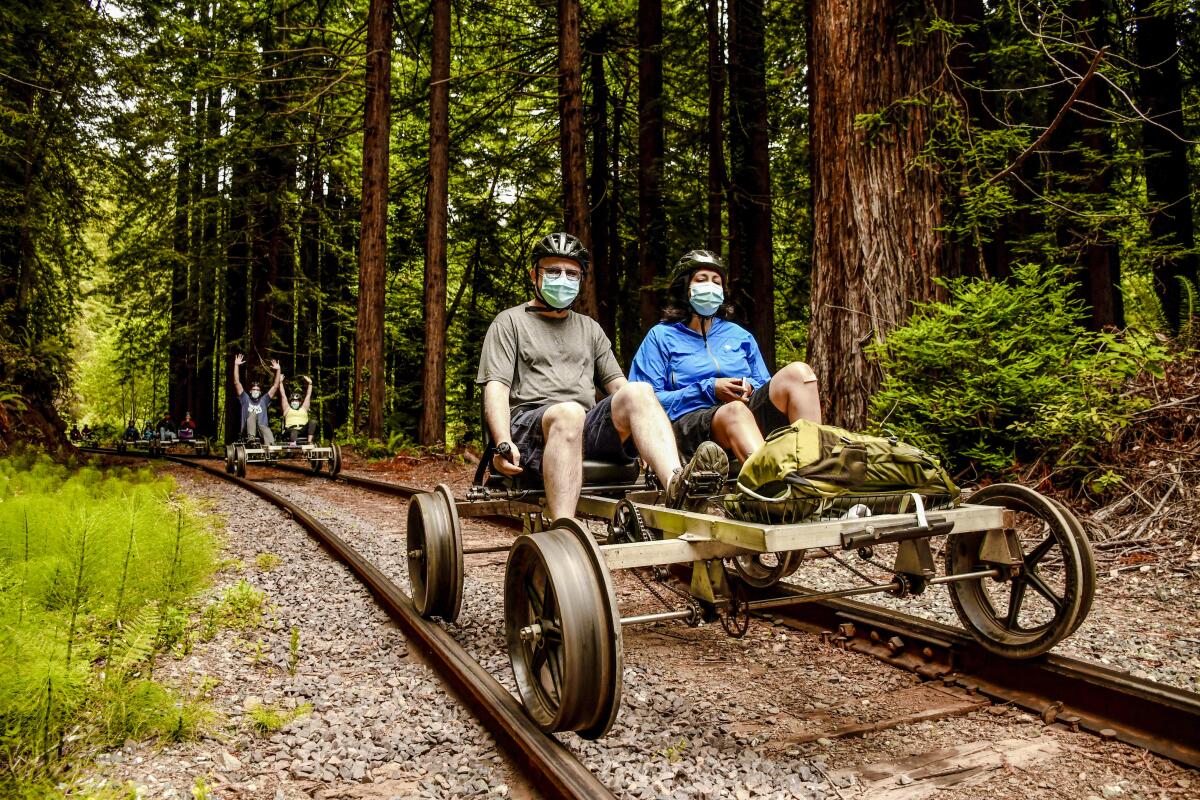 Two people pedal a railbike through redwood forests