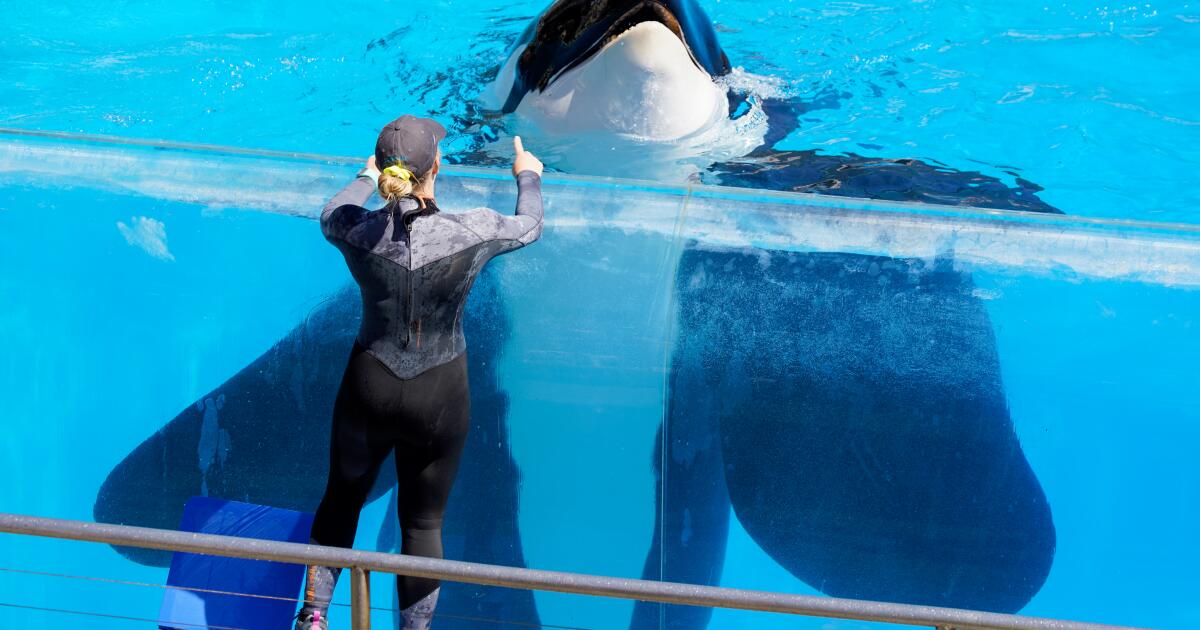 Timeline: How SeaWorld grew from a 22-acre park to a nearly 200-acre tourist destination