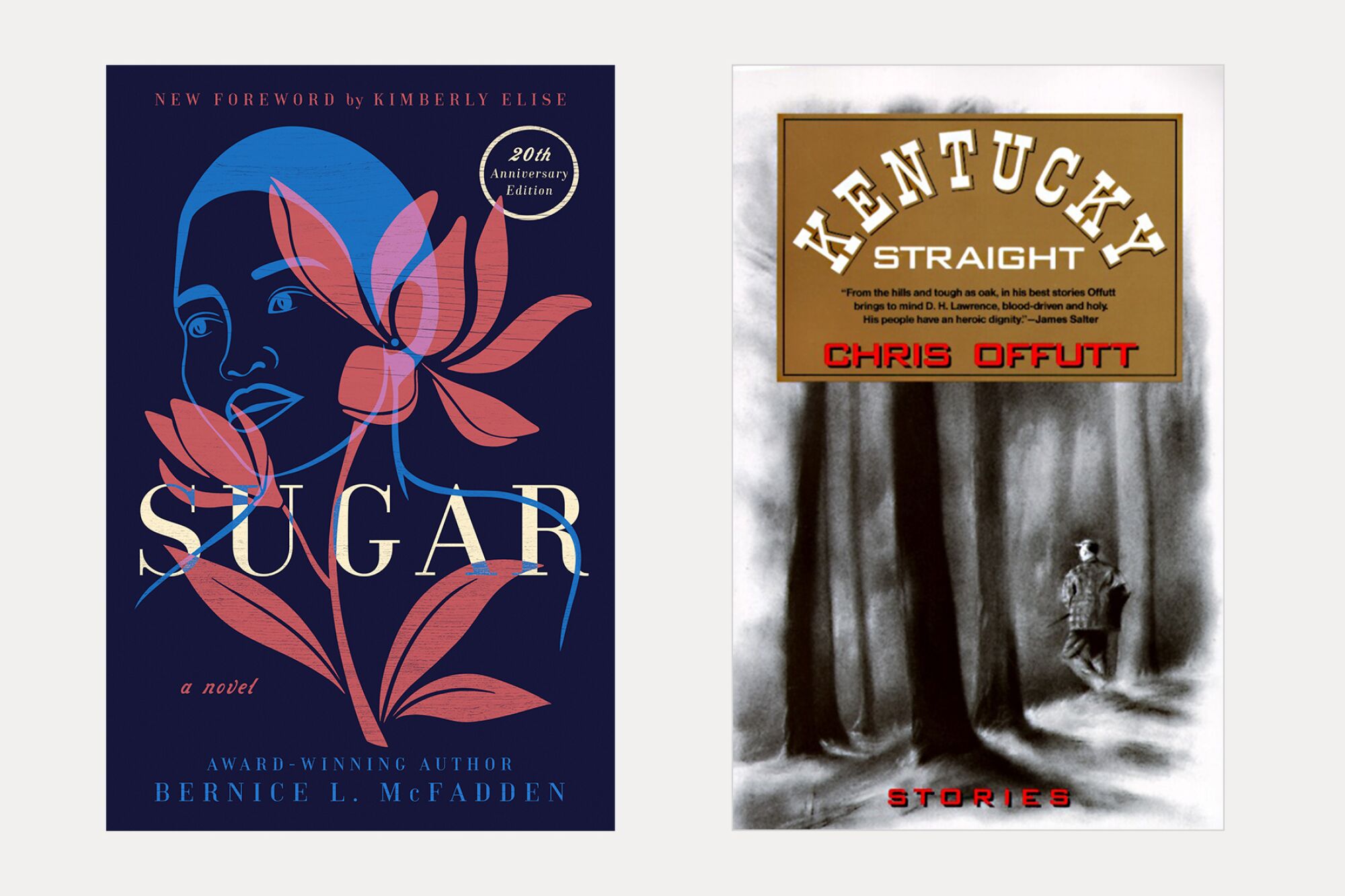 İki kitap kapağı: Bernice McFadden'dan Sugar ve Chris Offutt'tan Kentucky Straight