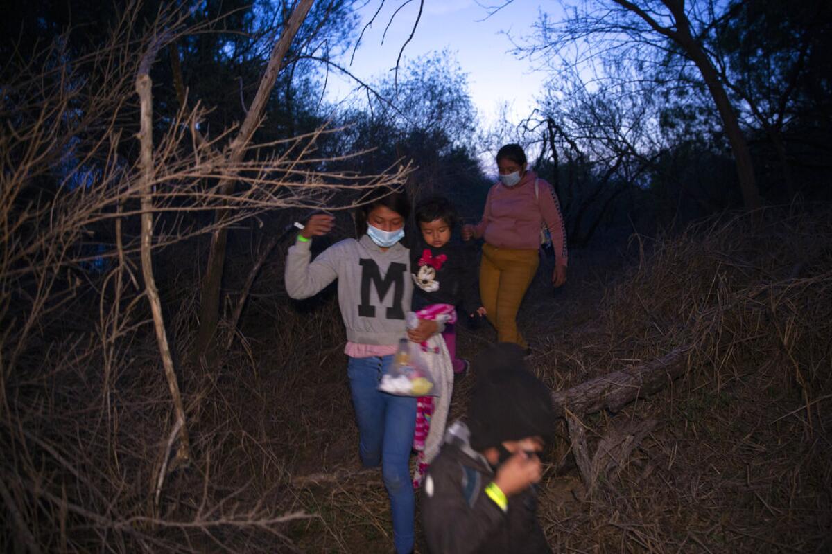 Familias de migrantes, generalmente centroamericanos, caminan entre arbustos tras ingresar a EEUU 