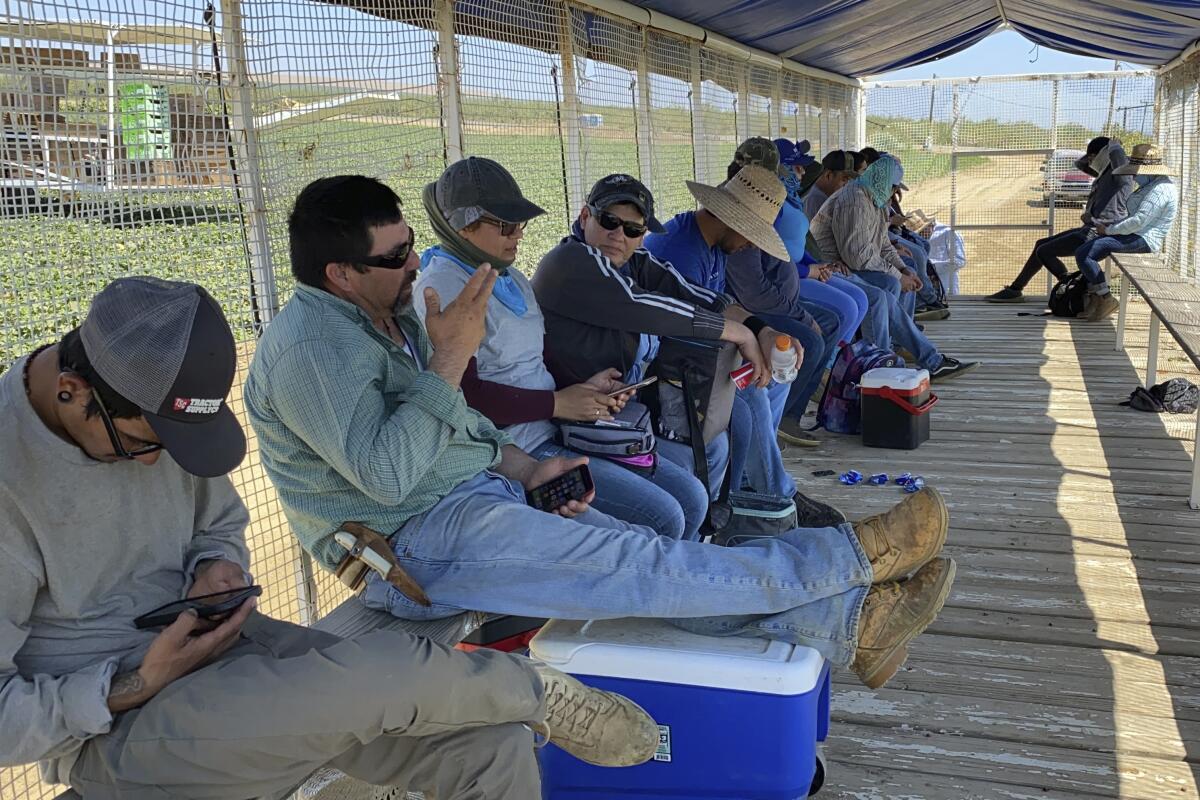 Farmworkers at Del Bosque Farms take a break from picking melons in Firebaugh, Calif., on Friday, July 9, 2021, where temperatures were expected to surpass 110 degrees this weekend. (AP Photo/Terry Chea)