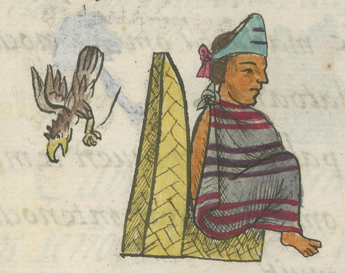 An Indigenous ruler wearing a striped cape sits on a reed chair as an eagle flies behind him.