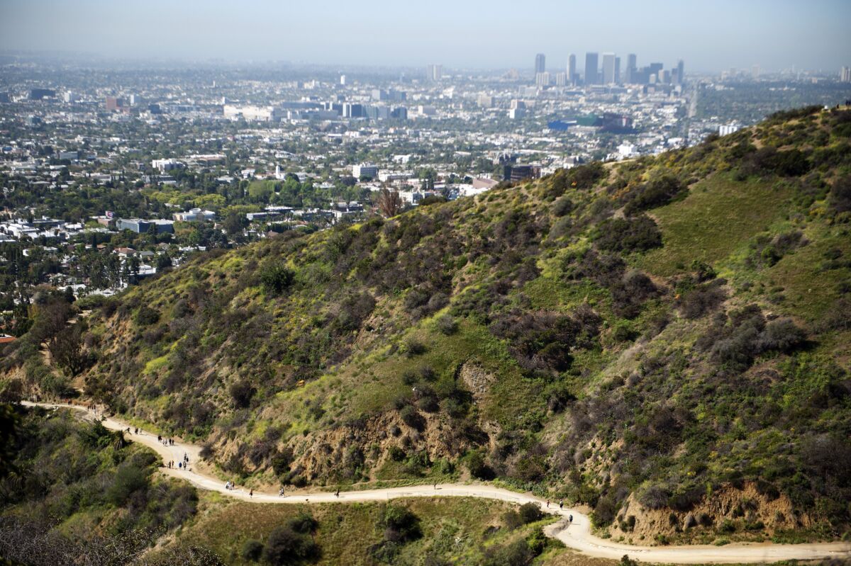 Runyon Canyon Park was closed for four months while the city replaced an aging 6-inch water main. It is set to reopen next week.