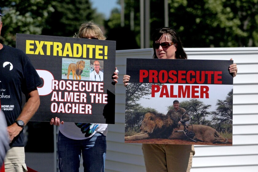 Protesters gather in the parking lot of Walter Palmer's River Bluff Dental Clinic in Bloomington, Minn.