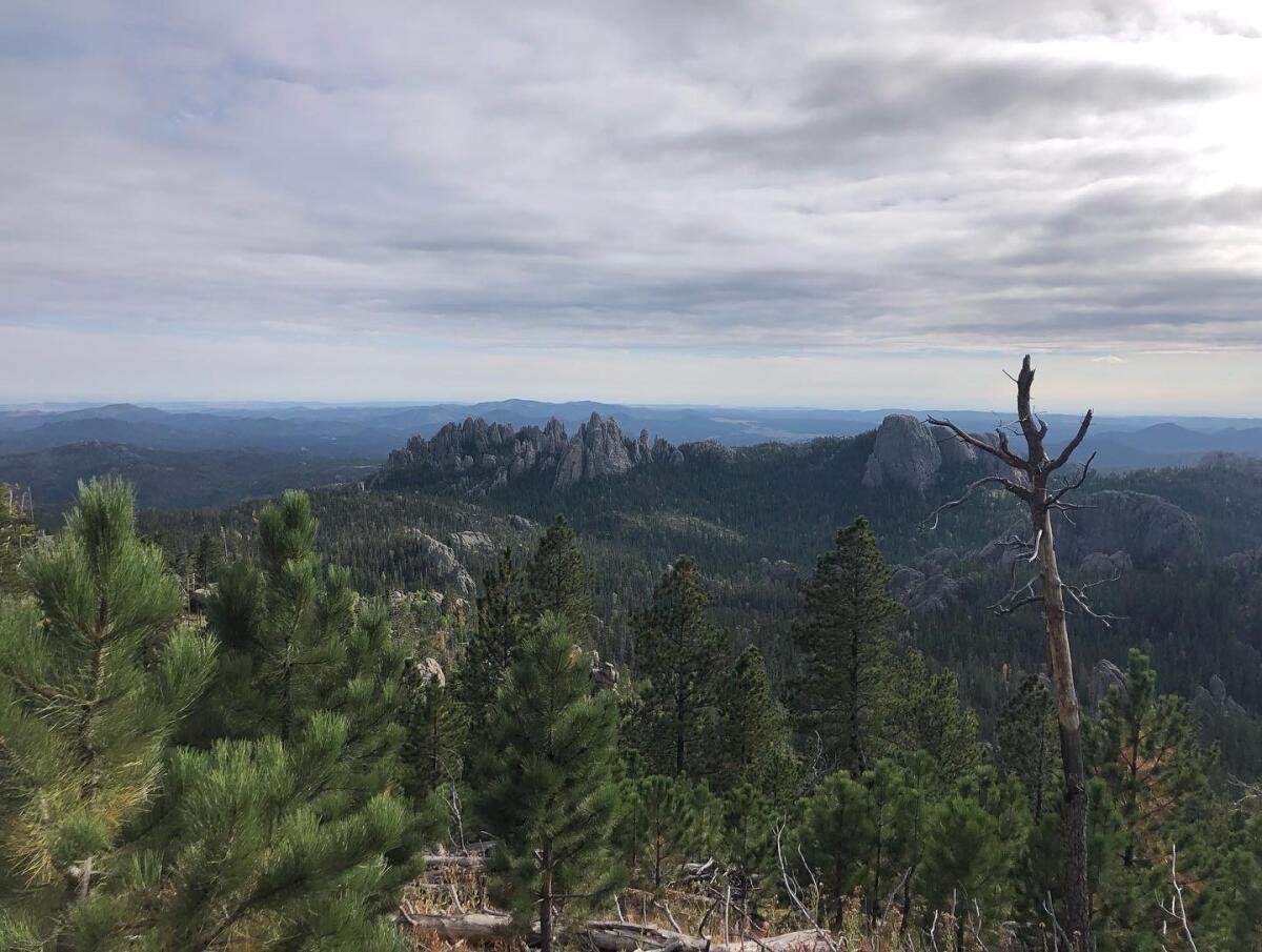 A view of cathedral-like formations rising amid a forested expanse 