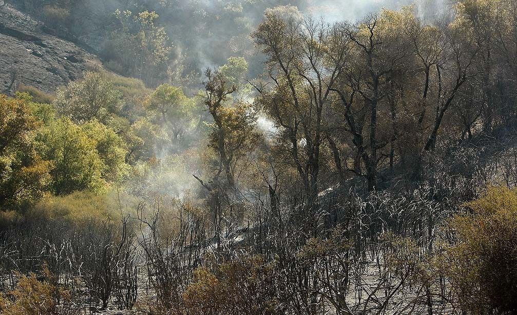 Smoke rises from the smoldering White fire in the Los Padres National Forest.
