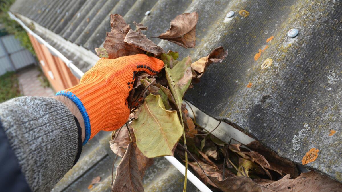 Clean out rain gutters this month and put plant refuse and dirt into the compost pile.