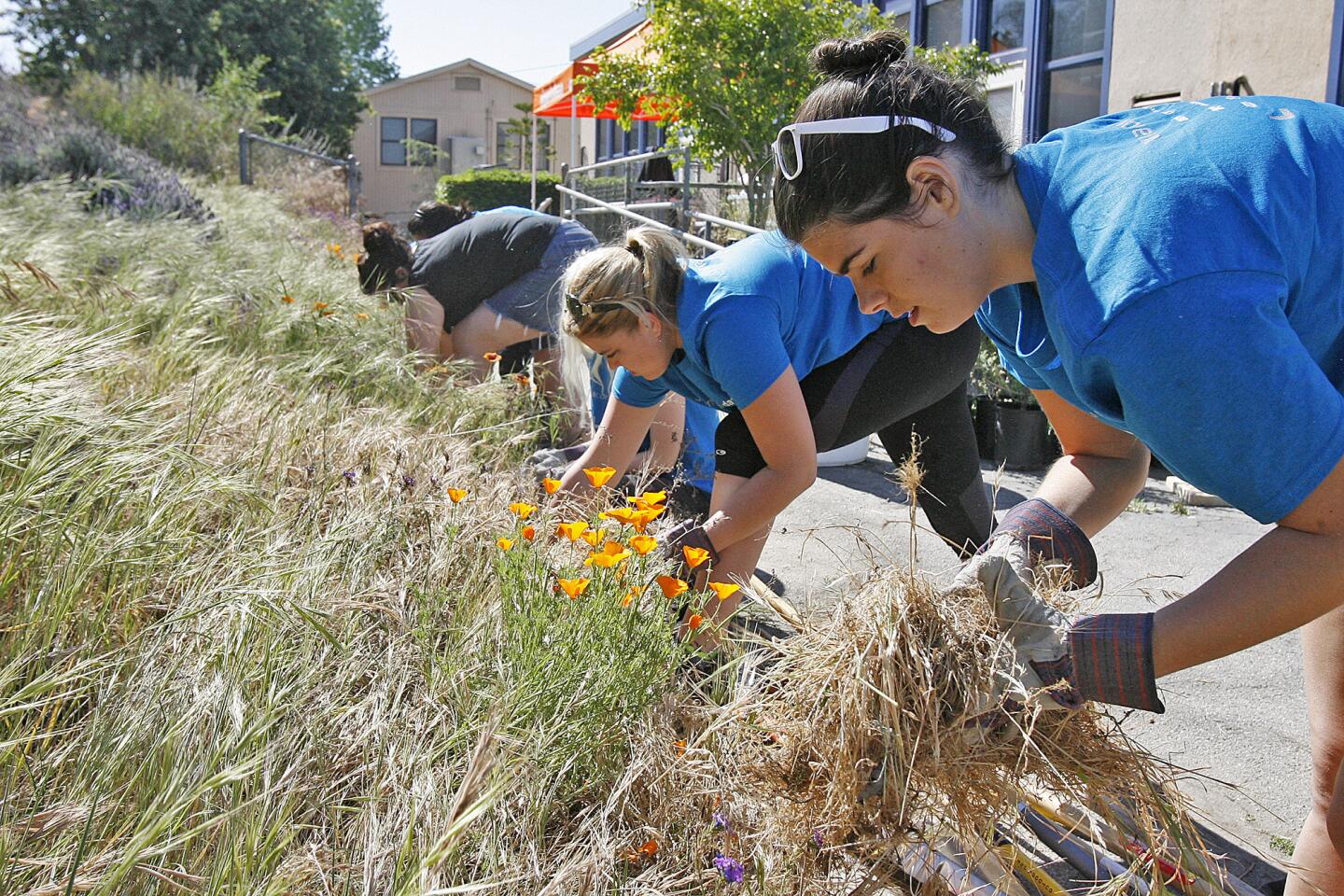 Photo Gallery: Nickelodeon lend artistic talent to projects at Thomas Jefferson Elementary