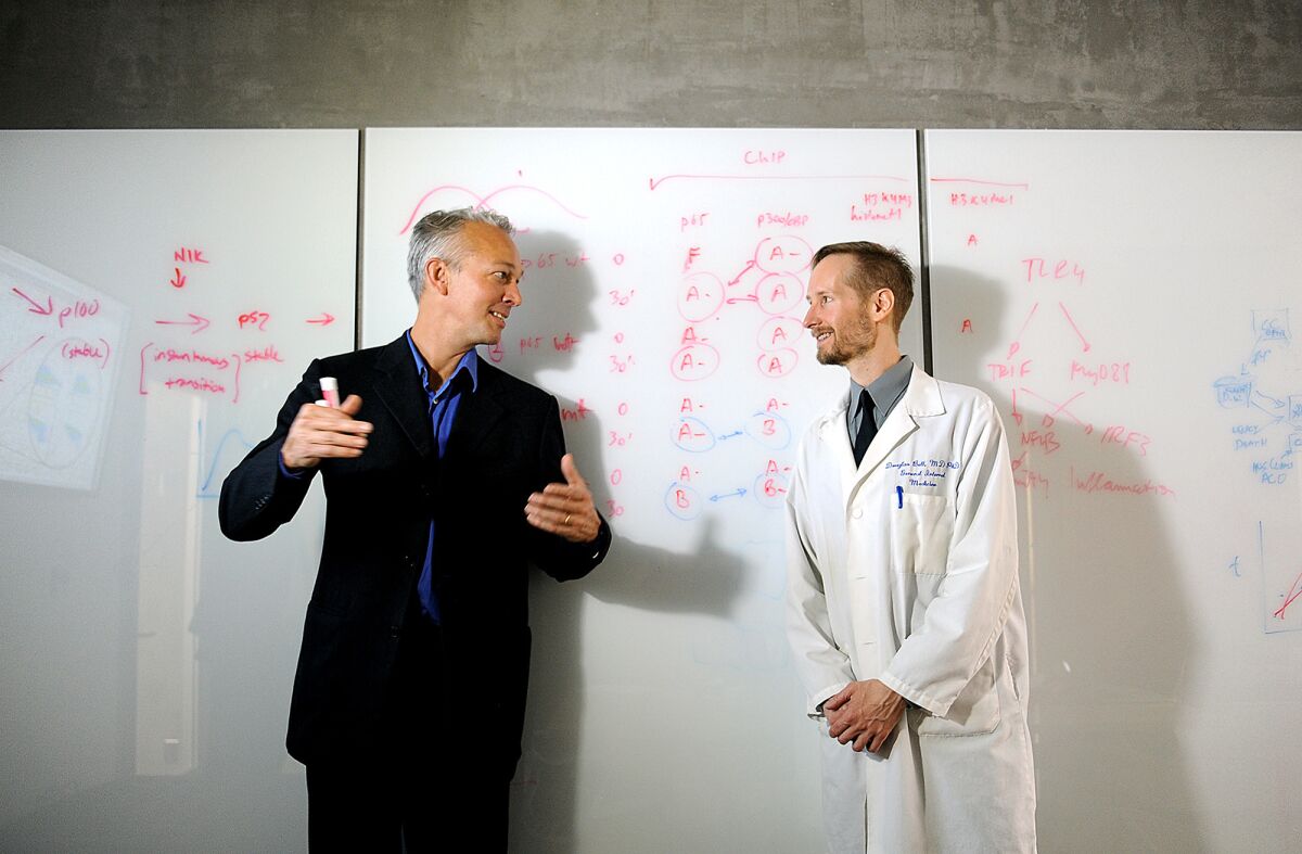 A new UCLA institute, headed by professor Alexander Hoffman, left, is intended to help scientists and physicians make sense of a deluge of medical data. Hoffman is pictured with UCLA medical professor Douglas Bell.