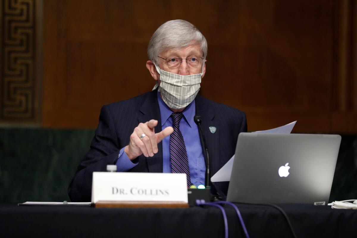 National Institutes of Health Director Dr. Francis Collins, National Institutes of Health director, testifies at a Senate Health Education Labor and Pensions Committee hearing on Thursday. 