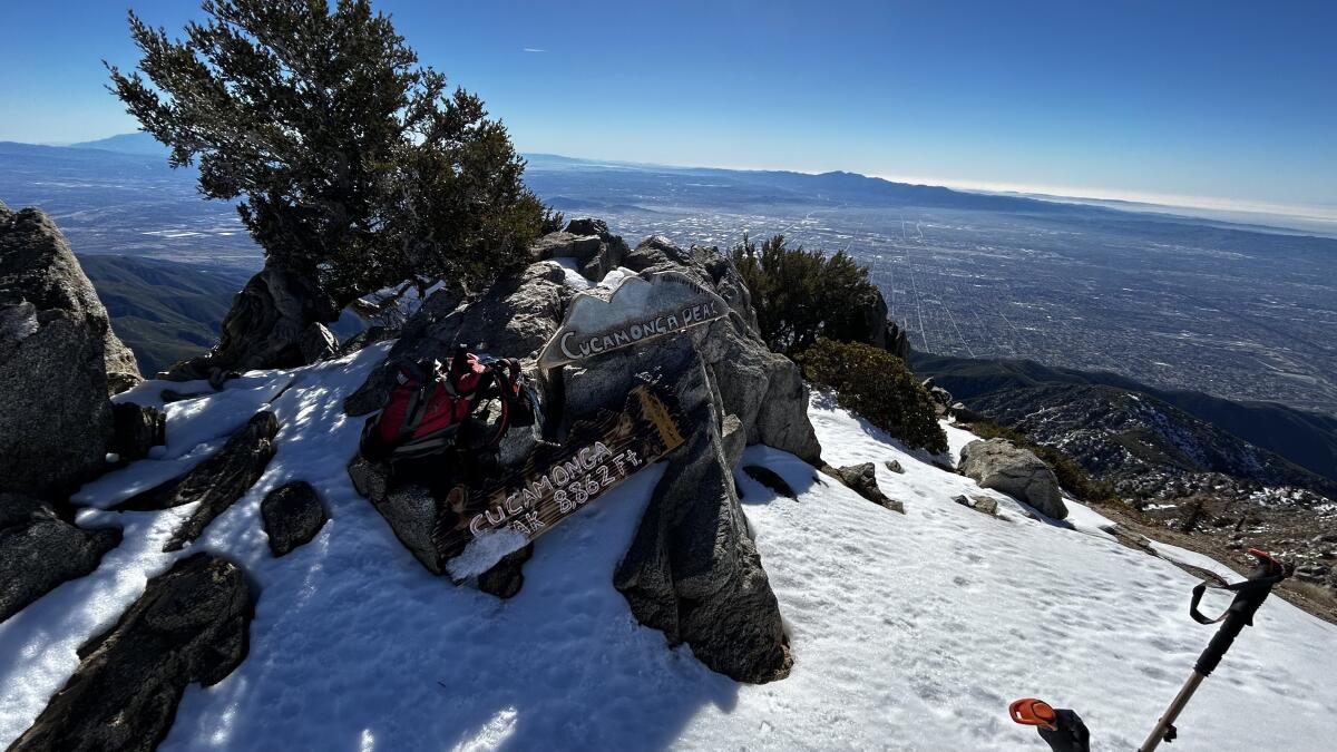 The view from the top of Cucamonga Peak that includes the summit sign and snow hiking gear.