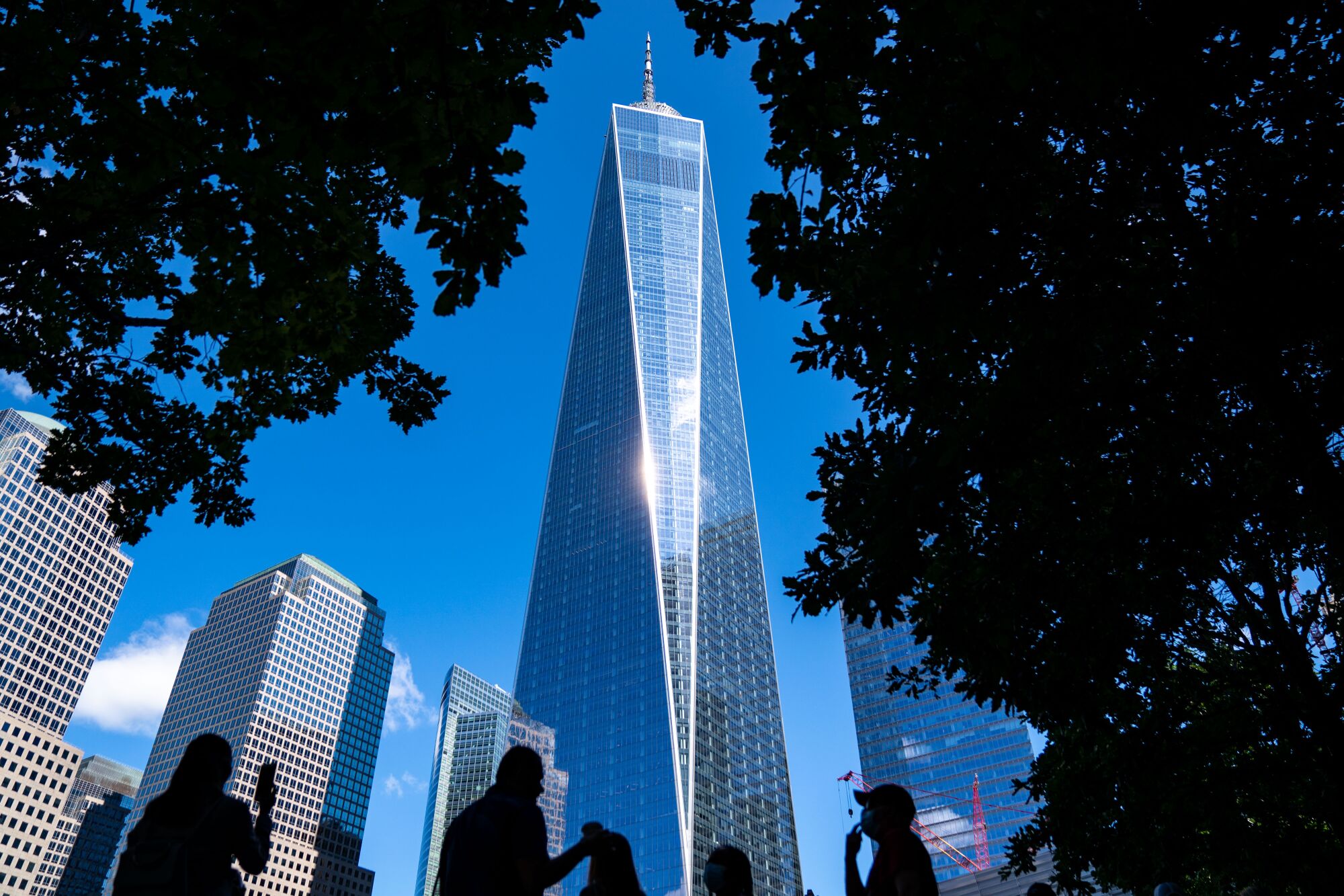 One World Trade Center is framed by trees