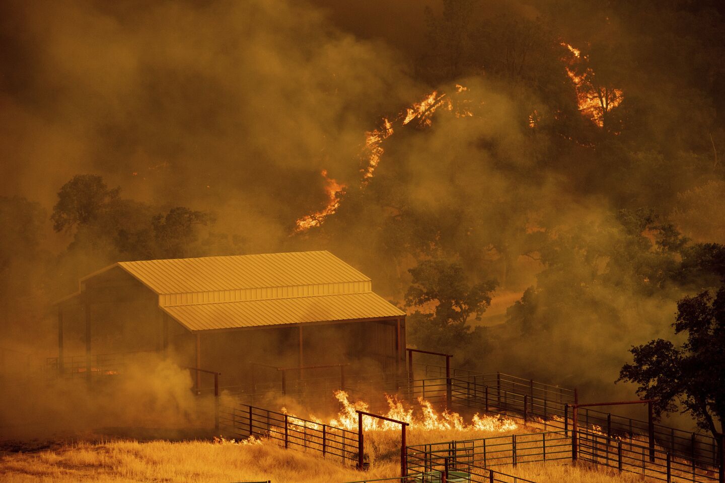 Flames rise around an outbuilding as the County fire burns in Guinda, Calif. Evacuations were ordered as dry, hot winds fueled a wildfire burning out of control in rural Northern California.