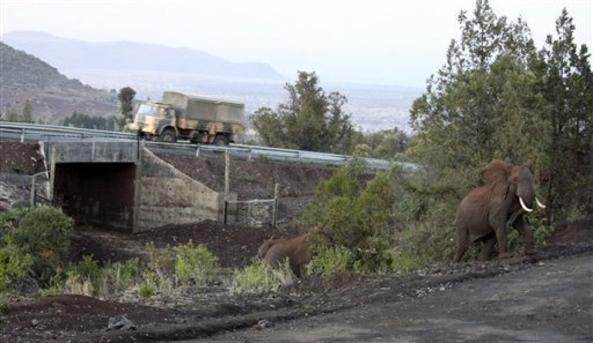 In this photo of Monday, Jan. 24, 2011, elephants exit Africa's first dedicated elephant underpass near the slopes of Mt. Kenya. Conservationists say the tunnel connects two elephant habitats that had been cut off from each other for years by human development. (AP Photo/Jason Straziuso)