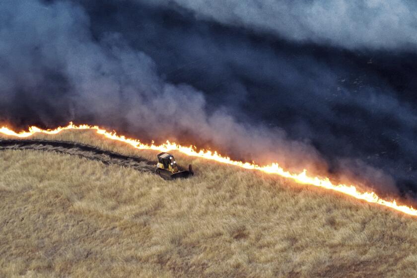 Esta imagen difundida por el Departamento Forestal y de Protección Contra Incendios de California muestra una excavadora que abre una brecha cortafuegos para contener un incendio, el domingo 2 de junio de 2024, cerca de Tracy, California. (Departamento Forestal y de Protección Contra Incendios de California vía AP)