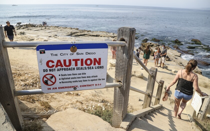 Signs are posted for beach goers warning them not to disturb sea lions and their pups.
