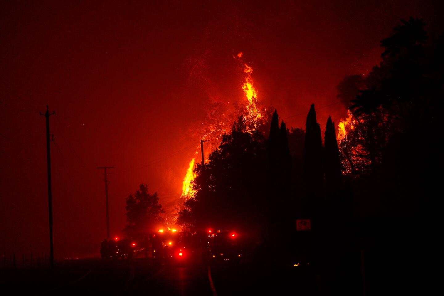 The Glass fire torches trees along Silverado Trail.