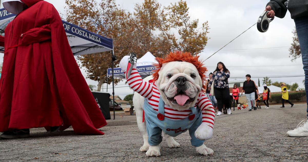 Costa Mesa dogs have their day at city's annual Barktoberfest Los