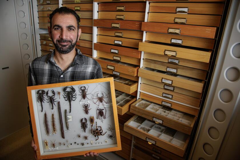 San Diego, California - September 21: Shahan Derkarabetian Ph.D., new curator of entomology at the San Diego Natural History Museum. He holds up various insects in Balboa Park on Thursday, Sept. 21, 2023 in San Diego, California. (Alejandro Tamayo / The San Diego Union-Tribune)
