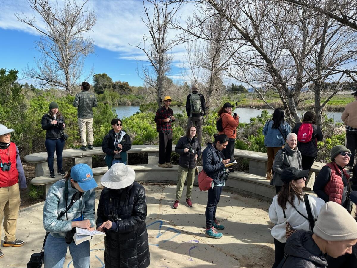 A group of birdwatchers gather to take notes and look for birds.