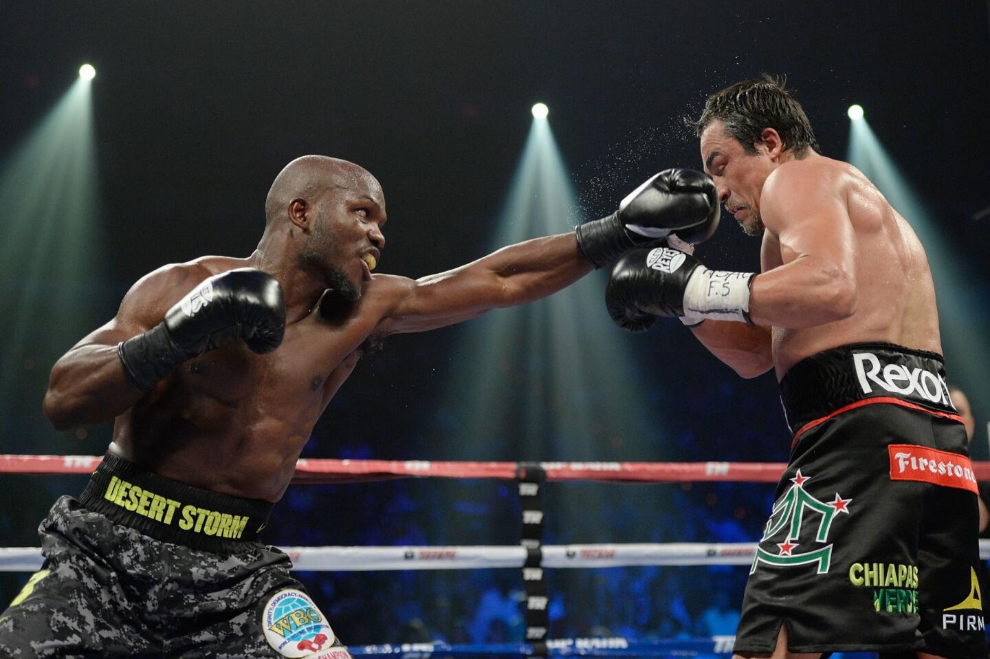 Timothy Bradley Jr., Juan Manuel Marquez