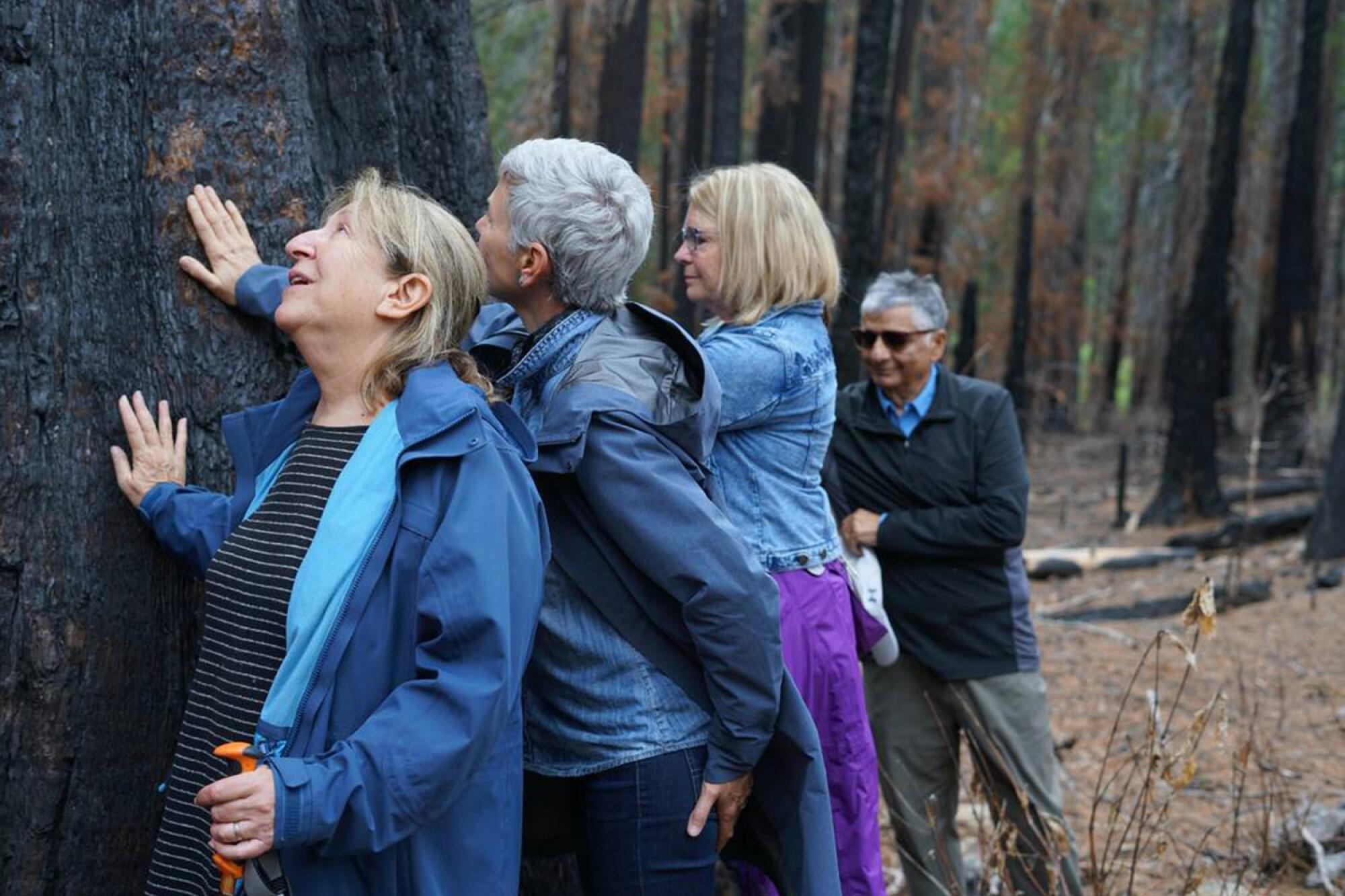 People pray for The Orphans survival at Calaveras Big Trees State Park in June 11, 2023.