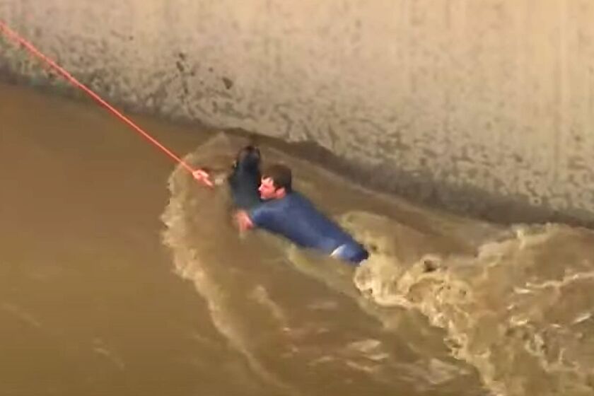 After nearly two hours, crews were able to rescue a dog stuck in the Los Angeles River Monday afternoon in the Studio City area.